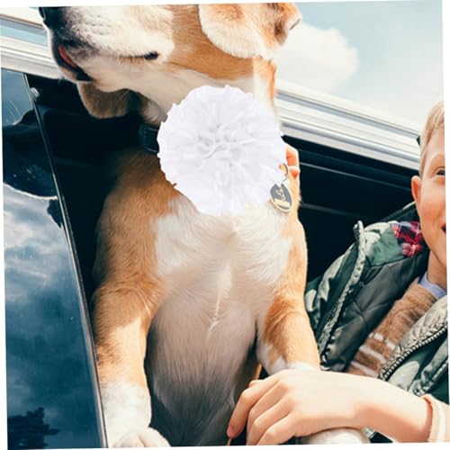 NOLITOY 10 Stück Teiliges Bunte Hundehalsband Blumen Dekoration für Welpen Katzen Leichtes Komfortables Haustier Blütenaccessoire für Partys Weihnachten und Tägliche Verschönerung von NOLITOY