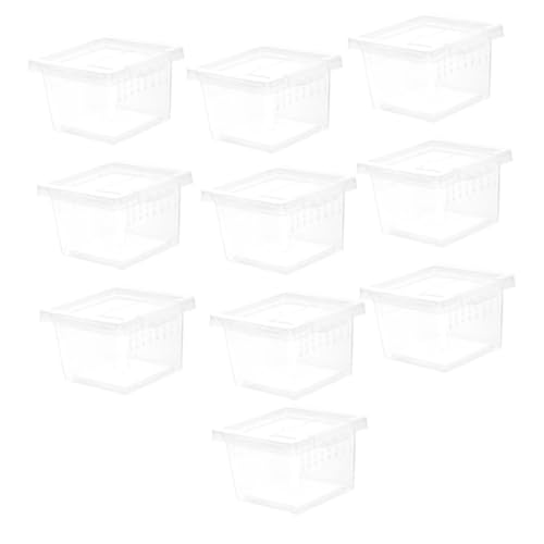 NOLITOY 10 Stück Transparente Reptilien Futterbox aus Stabilem Kunststoff mit Belüftungslöchern Vielseitiges Habitat Gehege für Spinnen Eidechsen Geckos und Kleine Wirbellose zur Sicheren NOLITOY 10 Stück Transparente Reptilien Futterbox aus Stabilem Kunststoff mit Belüftungslöchern Vielseitiges Habitat Gehege für Spinnen Eidechsen Geckos und Kleine Wirbellose zur Sicheren von NOLITOY