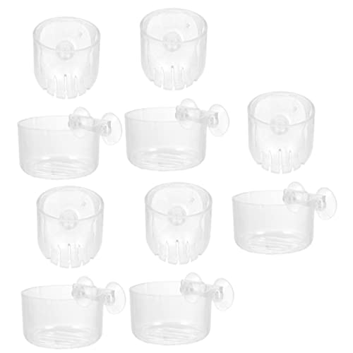 NOLITOY 10 Stück Wasserpflanzenbecher Aquarium pflanzenhalter Aquarienpflanzenhalter Becher für Wasserpflanzen künstlich Etiketten kleiderbügel Aquariumpflanztöpfe Acryl-Wasserpflanzer NOLITOY 10 Stück Wasserpflanzenbecher Aquarium pflanzenhalter Aquarienpflanzenhalter Becher für Wasserpflanzen künstlich Etiketten kleiderbügel Aquariumpflanztöpfe Acryl-Wasserpflanzer von NOLITOY