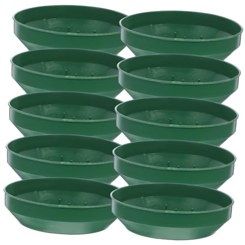 NOLITOY 10 Stück rundes Zifferblatt Steckschaumhalter Mini-Rundsteckschaum Blumen- Lieferungen für Blumenarrangements evengers plastikenten Foam Tablett Blumenschaumtablett Green NOLITOY 10 Stück rundes Zifferblatt Steckschaumhalter Mini-Rundsteckschaum Blumen- Lieferungen für Blumenarrangements evengers plastikenten Foam Tablett Blumenschaumtablett Green von NOLITOY