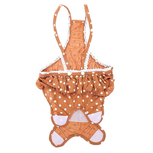 NOLITOY 1Stück Pet Unterhose mit Punkten Süße Braune Hundewindel für Weibliche Haustiere für Untrainierte Welpen und Hündinnen Hitze Schützt vor Urin und Flecken NOLITOY 1Stück Pet Unterhose mit Punkten Süße Braune Hundewindel für Weibliche Haustiere für Untrainierte Welpen und Hündinnen Hitze Schützt vor Urin und Flecken von NOLITOY