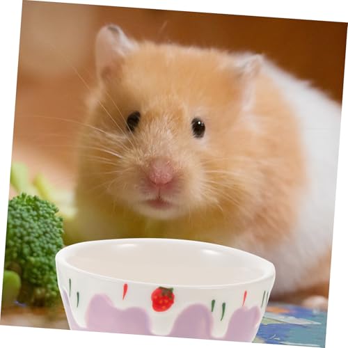 NOLITOY 2 Stück Keramik Futternapf Hamster Meerschweinchen Igel mit Stabilem Boden Vertieft Klein Anti Überschwappen Geeignet für Ratten Zwergkaninchen Nagetiere Sichere Futter von NOLITOY