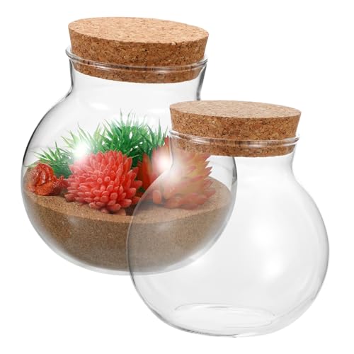 NOLITOY 2 Stück Öko Flasche Sukkulenten Pflanzgefäß Terrarium Versiegelt Kugelförmige Terrarium Flasche Pflanzen Terrariengläser Moos Pflanzbehälter – Landschaftsflasche von NOLITOY