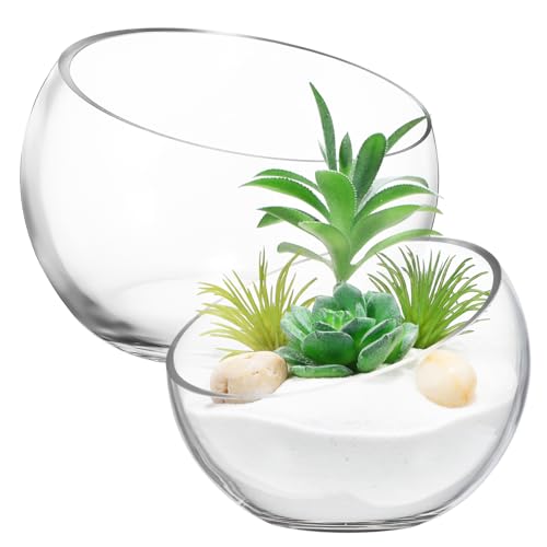 NOLITOY 2 Stück Pflanzer Teiliges für Hydroponik und Aquarien Runde Glasvase für Sukkulenten und Pflanzen Dekorativer Terrarienbehälter mit Design und Verschiedenen Öffnungsgrößen NOLITOY 2 Stück Pflanzer Teiliges für Hydroponik und Aquarien Runde Glasvase für Sukkulenten und Pflanzen Dekorativer Terrarienbehälter mit Design und Verschiedenen Öffnungsgrößen von NOLITOY