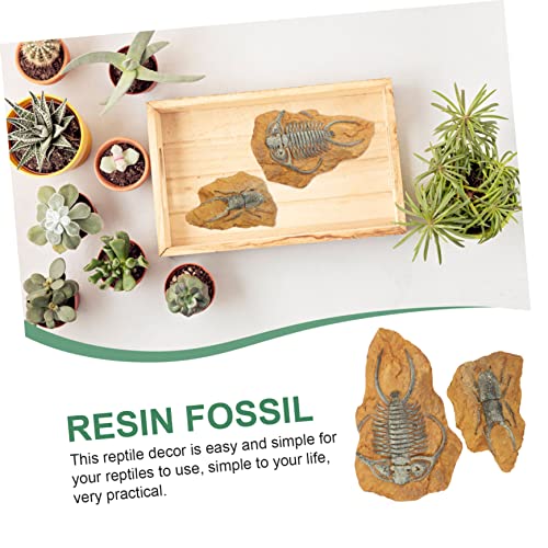 NOLITOY 2 Stück Simuliertes Harzfossil Terrarium Dekorationen Reptilien Box Ornamente Multifunktionale Verstecke für Eidechsen Spinnen Hamster Geruchsneutral Robust NOLITOY 2 Stück Simuliertes Harzfossil Terrarium Dekorationen Reptilien Box Ornamente Multifunktionale Verstecke für Eidechsen Spinnen Hamster Geruchsneutral Robust von NOLITOY