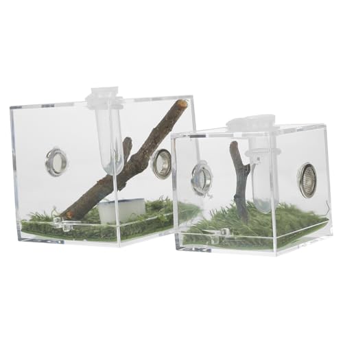 NOLITOY 2 Stück Zuchtbox für Springspinnen Transparente Aufzuchtbox mit Futteröffnung Geeignet für Spinnen Skorpione Grillen Schnecken und Kleine Insekten Klares Design für Beobachtung von NOLITOY