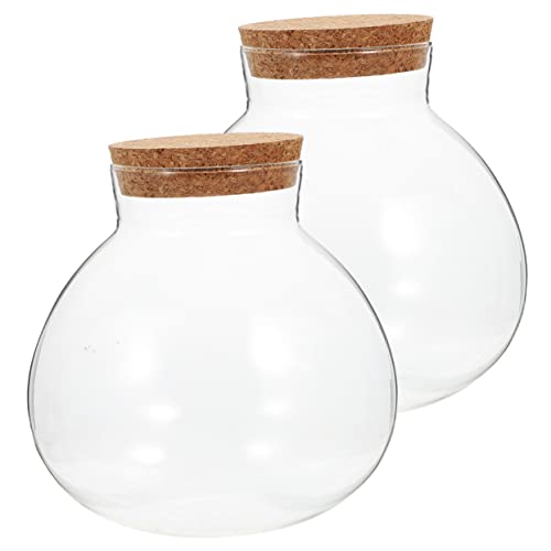 NOLITOY 2 Teiliges Öko Flaschen Terrarium Set Für Luftpflanzen Tisch Terrarium Kugel Pflanzgefäße Für Pflanzen Im Freien Desktop Sukkulentenflasche Moos Landschaftsflasche von NOLITOY