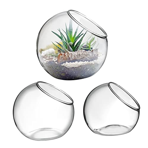 NOLITOY 3 Stück Hydroponik Sukkulenten- -Terrarium Terrarienschale saftige Vasen Hydroponische Vase bürodeko büro Dekoration Vase Pot Luftpflanzenterrarium rund Glas Transparent von NOLITOY