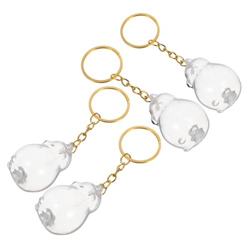 NOLITOY 4 Stück Teiliges Hundehaar Aufbewahrungsset Transparente Gedenkbox als Schlüsselanhänger und Taschenanhänger Leichte Tragbare Erinnerungsbox zur Aufbewahrung von Haustierhaaren für von NOLITOY