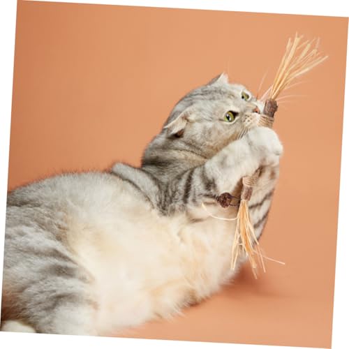 NOLITOY 4 Stück Teiliges Katzen kauspielzeug aus Natürlicher Katzenminze Kratzfestes Zahnpflegespielzeug für Kätzchen Fördert Gesunde Zähne und Zahnfleisch Stressabbauend NOLITOY 4 Stück Teiliges Katzen kauspielzeug aus Natürlicher Katzenminze Kratzfestes Zahnpflegespielzeug für Kätzchen Fördert Gesunde Zähne und Zahnfleisch Stressabbauend von NOLITOY