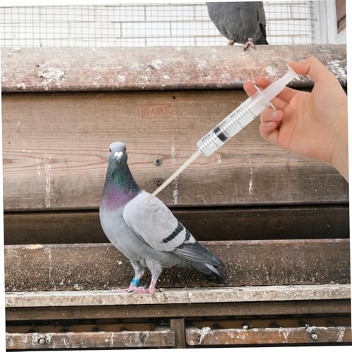 NOLITOY 4 Stück Teiliges Pigeon Feeding Spritze aus Robustem Präzise Handfütterung und Medikamentengabe für Tauben und Kleine Vögel Langlebiger Futterspender für Haustiere Einfache NOLITOY 4 Stück Teiliges Pigeon Feeding Spritze aus Robustem Präzise Handfütterung und Medikamentengabe für Tauben und Kleine Vögel Langlebiger Futterspender für Haustiere Einfache von NOLITOY
