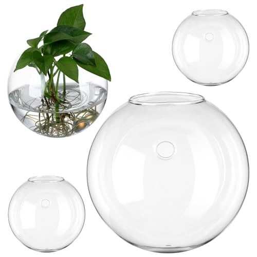 NOLITOY 4 Stück Wandvase Aus Glas Wandtopf Montiert Runden Drinnen Terrariumvase Klein Form Pflanzenwanddekoration Wandtöpfe Pflanzen Innenräume Vertikale Gerundet Kreis NOLITOY 4 Stück Wandvase Aus Glas Wandtopf Montiert Runden Drinnen Terrariumvase Klein Form Pflanzenwanddekoration Wandtöpfe Pflanzen Innenräume Vertikale Gerundet Kreis von NOLITOY