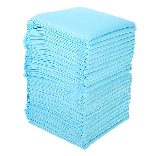 NOLITOY 50 Stück Hündchen-PIPI-pad Urinal Pad Töpfchen Pads PIPI-Pads Für Hunde Pet Pee Pad Einweg Pads Für Haustiere Einweg-haustierkissen Kleine PIPI-Pads Vlies Wickelunterlage Die Katze NOLITOY 50 Stück Hündchen-PIPI-pad Urinal Pad Töpfchen Pads PIPI-Pads Für Hunde Pet Pee Pad Einweg Pads Für Haustiere Einweg-haustierkissen Kleine PIPI-Pads Vlies Wickelunterlage Die Katze von NOLITOY