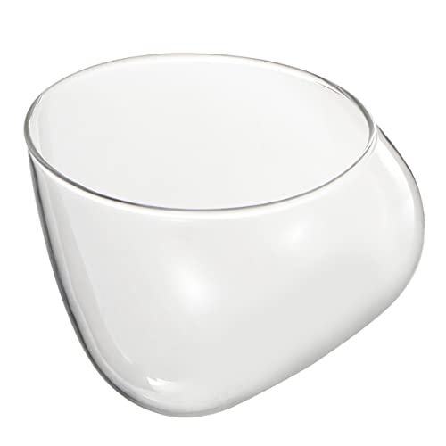 NOLITOY Eco-Flasche vorratsbehälter aufbewahrungsbehälter wohnzimmerdeko Flower vase glasbehälter Sukkulentenvase aus Glas Glaskanister Mikrolandschaftsdekor Vorratsflasche Transparent von NOLITOY