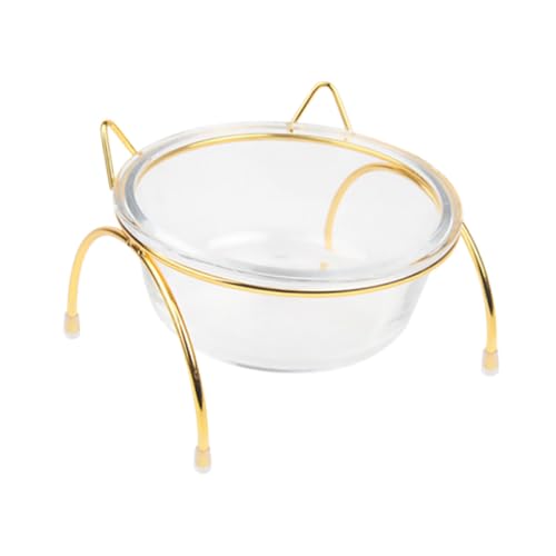 NOLITOY Erhöhte Glas tiernapfschüssel mit Neigung Langlebig und Praktisch als Futter Wassernapf für Katzen und Kleine Hunde Einfache Befestigung Stilvolles Design von NOLITOY