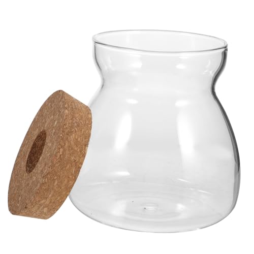 NOLITOY Glas Terrarium mit Lochdeckel Hydroponischer Pflanzbehälter für Sukkulenten Moos Gärten Dekorativer Glasbehälter für Zimmerpflanzen Vielseitig für Wohn Arbeitsbereiche Geeignet NOLITOY Glas Terrarium mit Lochdeckel Hydroponischer Pflanzbehälter für Sukkulenten Moos Gärten Dekorativer Glasbehälter für Zimmerpflanzen Vielseitig für Wohn Arbeitsbereiche Geeignet von NOLITOY