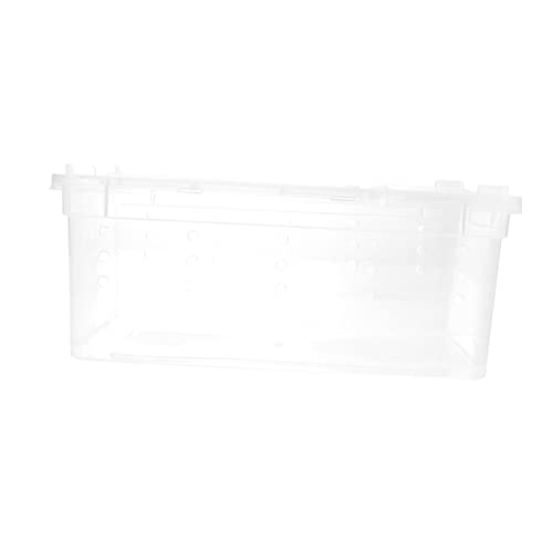 NOLITOY Glasbehälter Für Terrarien 1stk Aufzuchtbox Für Insekten Gehäuse Acryl Futterkasten Plastik Glasbehälter von NOLITOY