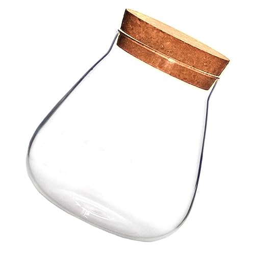 NOLITOY Glasvase mit Korkverschluss Transparente Terrarium Flasche für DIY Kunsthandwerk Aufbewahrungsgefäß für Kleine Gegenstände Moderne Dekoration für Zuhause Einfach zu Befüllen und NOLITOY Glasvase mit Korkverschluss Transparente Terrarium Flasche für DIY Kunsthandwerk Aufbewahrungsgefäß für Kleine Gegenstände Moderne Dekoration für Zuhause Einfach zu Befüllen und von NOLITOY