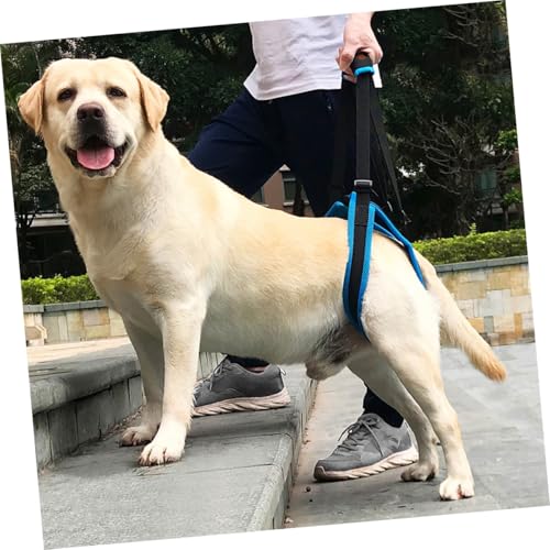 NOLITOY Hilfreiches Hundebein Stützband XL für Ältere und Behinderte Hunde Bequemes Material Einfach zu Greifen Unterstützt Gehfähigkeit und Toilettengang für Rehabilitative Pflege NOLITOY Hilfreiches Hundebein Stützband XL für Ältere und Behinderte Hunde Bequemes Material Einfach zu Greifen Unterstützt Gehfähigkeit und Toilettengang für Rehabilitative Pflege von NOLITOY