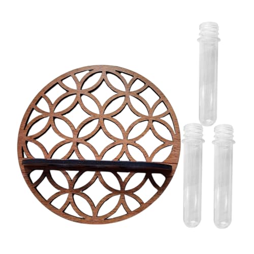 NOLITOY Hydroponisches Terrarium Pflanzenständer mit Transparentem Kunststoff Planter und Holzständer Hängende Wandvase Dekoration für Büro Wohnzimmer Natürliche Wohnraumbegrünung von NOLITOY