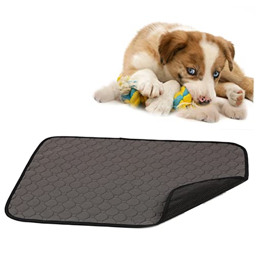 NOLITOY Kissensitz Welpen Pinkeln Pads Hund Katze Pee Pad Hündchen Matte von NOLITOY