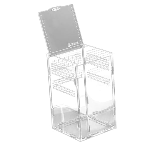 NOLITOY Klares Reptilien Terrarium Magnetisch Zusammensteckbar Stabiles Kleintier Gehege für Schlangen Taranteln Eidechsen und Transparent Langlebig und Sicher NOLITOY Klares Reptilien Terrarium Magnetisch Zusammensteckbar Stabiles Kleintier Gehege für Schlangen Taranteln Eidechsen und Transparent Langlebig und Sicher von NOLITOY