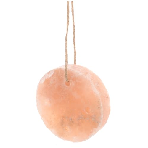 NOLITOY Kleiner Haustier Salzblock Natürlicher Mineralstoff Salzleckstein für Kaninchen Hamster Nager und Langlebig Natürliche Mineralien von NOLITOY