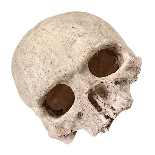 NOLITOY Kreative Aquarien Dekoration aus Hochwertigem Harz Skull Ornament für Garnelenverstecke und Reptilien Habitat Stilvolle Aquarienlandschaftsgestaltung NOLITOY Kreative Aquarien Dekoration aus Hochwertigem Harz Skull Ornament für Garnelenverstecke und Reptilien Habitat Stilvolle Aquarienlandschaftsgestaltung von NOLITOY