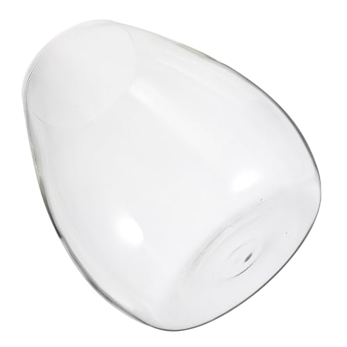 NOLITOY Micro Landscape DIY Moss Ecological Glass Bottle Terrarium Transparent Ökosystem Pflanze Flasche für Wohnzimmer Büro Schlafzimmer Dekoration NOLITOY Micro Landscape DIY Moss Ecological Glass Bottle Terrarium Transparent Ökosystem Pflanze Flasche für Wohnzimmer Büro Schlafzimmer Dekoration von NOLITOY