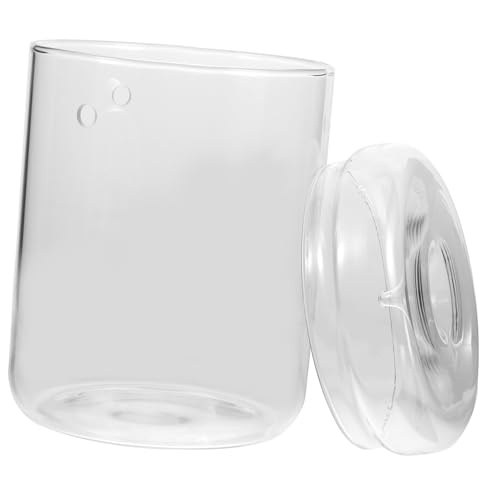 NOLITOY Micro Landscape Glas Terrarium für Pflanzen Transparentes Ökologisches Moos Pflanzengefäß Mini Glasflasche für Büro Wohnzimmer DIY Dekoration Kompaktes Pflanzgefäß NOLITOY Micro Landscape Glas Terrarium für Pflanzen Transparentes Ökologisches Moos Pflanzengefäß Mini Glasflasche für Büro Wohnzimmer DIY Dekoration Kompaktes Pflanzgefäß von NOLITOY