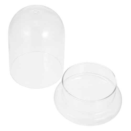 NOLITOY Micro Landschaftsflasche mit Kuppel für Pflanzen und Vielseitige Deko für Garten für Terrarien und Ökologische Displays NOLITOY Micro Landschaftsflasche mit Kuppel für Pflanzen und Vielseitige Deko für Garten für Terrarien und Ökologische Displays von NOLITOY