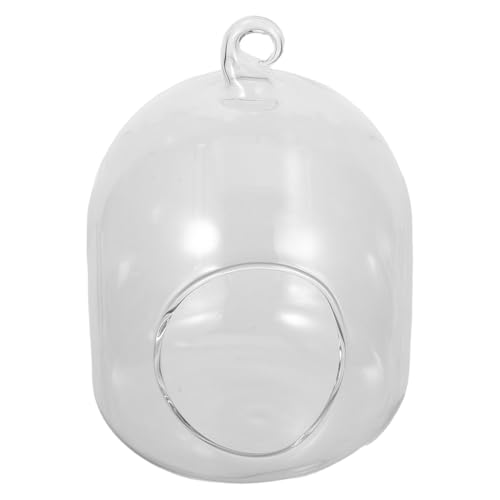NOLITOY Mini Terrarium mit Moos Offener Kleiner Pflanzer Langlebigem Platzsparend für Büro und DIY Landschaft Dekoratives Glasgefäß für Tischdeko und NOLITOY Mini Terrarium mit Moos Offener Kleiner Pflanzer Langlebigem Platzsparend für Büro und DIY Landschaft Dekoratives Glasgefäß für Tischdeko und von NOLITOY
