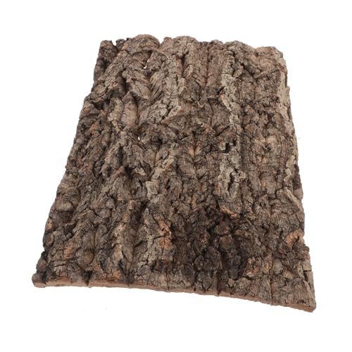 NOLITOY Natural Cork Rinde Backboard Dekorative Reptilienbox Kulisse Für Terrarien Fischtanks Pflanzenwände Für Bärtige Drache Gecko Schlangen Tank von NOLITOY