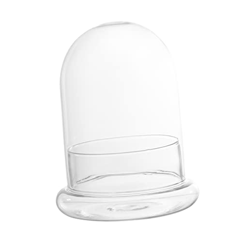 NOLITOY Ökologische Flasche Moss Flasche Mit Mikrolandschaft Miniatur Pflanzenterrariengläser Dekoration Terrariengefäße Für Pflanzen Gewölbt Moosglas Borosilikatglas Transparent von NOLITOY