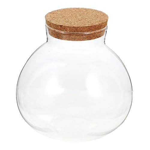 NOLITOY Ökologische Mikrolandschaftsflasche Rundes Terrarium Dekorationsglas Terrarium Ökosystemflasche dekoratives Glas Landschaft Flasche Moosglas Kork Transparent NOLITOY Ökologische Mikrolandschaftsflasche Rundes Terrarium Dekorationsglas Terrarium Ökosystemflasche dekoratives Glas Landschaft Flasche Moosglas Kork Transparent von NOLITOY