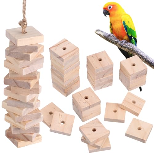 NOLITOY Papageien-Bissspielzeug, Holzblöcke, Vogelkauspielzeug, Mini-Holzspäne, DIY, Handwerk für Papageien, Spielen, Kauen, 100 Stück NOLITOY Papageien-Bissspielzeug, Holzblöcke, Vogelkauspielzeug, Mini-Holzspäne, DIY, Handwerk für Papageien, Spielen, Kauen, 100 Stück von NOLITOY