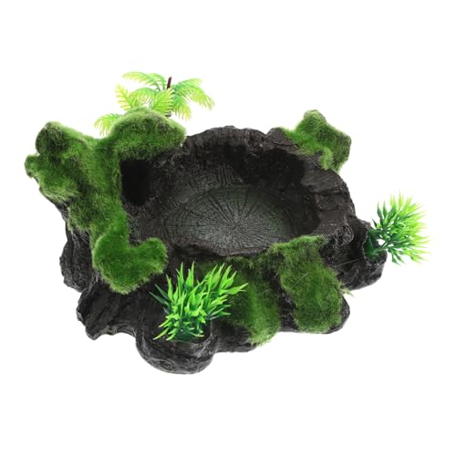 NOLITOY Reptilien Wassernapf Natürliches Design rutschfest Napf Futterschale Terrarium Schildkröten Futter Wasserschale für Echsen und Amphibien NOLITOY Reptilien Wassernapf Natürliches Design rutschfest Napf Futterschale Terrarium Schildkröten Futter Wasserschale für Echsen und Amphibien von NOLITOY