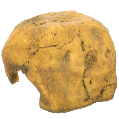 NOLITOY Resin Reptilien Versteck Höhle für Bartagame und Schlangen Aquarium Deko Schildkröten Versteck Naturnahes Design Robust und Pflegeleicht von NOLITOY
