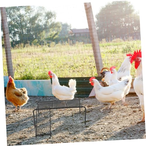 NOLITOY Rutin Hühnerplattform mit Leiter Hohlraum Hühnerbarsch Hühnersprungtisch für Kleintiere Käfigdekoration und Trainingsspielzeug zur Stressreduktion NOLITOY Rutin Hühnerplattform mit Leiter Hohlraum Hühnerbarsch Hühnersprungtisch für Kleintiere Käfigdekoration und Trainingsspielzeug zur Stressreduktion von NOLITOY