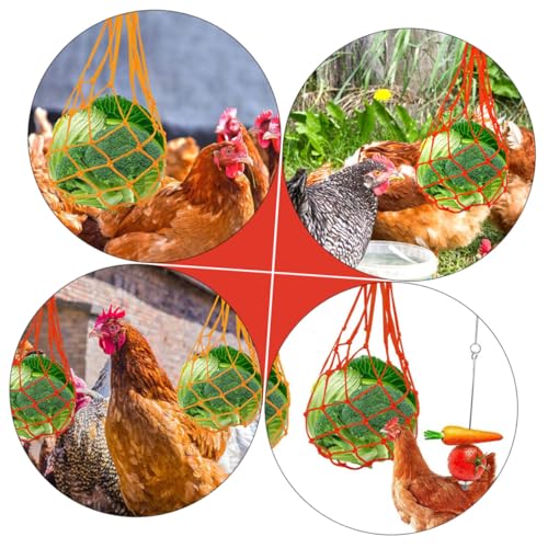 NOLITOY Teiliges Geflügel futterset mit Gemüse netzbeutel und Papageien obstgabel Langlebiges Hühner Langsames Fressen Fördert Verdauung Leicht Einfach Aufzuhängen und Hygienisch NOLITOY Teiliges Geflügel futterset mit Gemüse netzbeutel und Papageien obstgabel Langlebiges Hühner Langsames Fressen Fördert Verdauung Leicht Einfach Aufzuhängen und Hygienisch von NOLITOY
