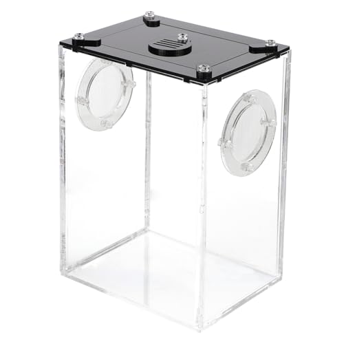 NOLITOY Transparenter klarer Reptilienzuchtkasten mit Belüftungslöchern Robuste Lebendige Box für Echsen Chamäleons Spinnen und Kriechtiere Praktisches Terrarium zur Tierbeobachtung und NOLITOY Transparenter klarer Reptilienzuchtkasten mit Belüftungslöchern Robuste Lebendige Box für Echsen Chamäleons Spinnen und Kriechtiere Praktisches Terrarium zur Tierbeobachtung und von NOLITOY