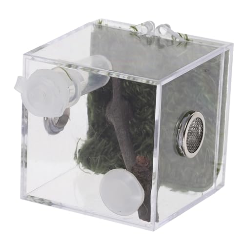 NOLITOY Transparentes Acryl Springspinne Terrarium Stabiles Lichtdurchlässiges Reptiliengehäuse Praktisches Mittleres Gehege für Springspinnen und Kleine Haustiere Kratzfest und NOLITOY Transparentes Acryl Springspinne Terrarium Stabiles Lichtdurchlässiges Reptiliengehäuse Praktisches Mittleres Gehege für Springspinnen und Kleine Haustiere Kratzfest und von NOLITOY