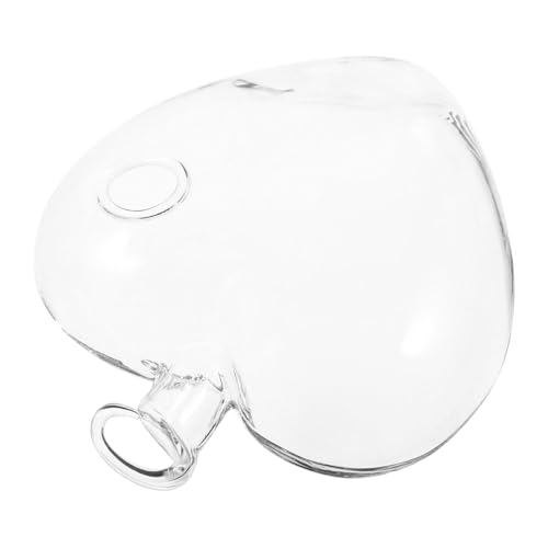NOLITOY Vase in Herzform büro Dekoration bürodekoration Herzförmige Blumenvase Halter für Wattepads Fischtankverzierung Aquarium einmachgläser Hausvase Hängende Blumenbehälter Transparent von NOLITOY
