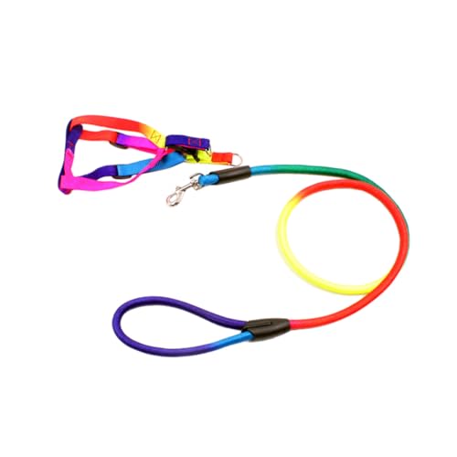 NOLITOY Verstellbare Langlebige Traction Rope Hundeleine und Brustgurt aus Nylon in Regenbogenfarben Geeignet für Kleine und Mittelgroße Hunde Komfortabel und Modisch für Sicheres von NOLITOY