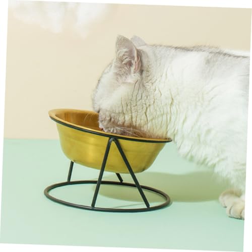 NOLITOY für Katze und Hund mit Stabilem Halter Kratzfest Glatte für Trockenfutter Wasser Snacks rutschfest Pflegeleicht Modernes Design Teilig Goldfarben NOLITOY für Katze und Hund mit Stabilem Halter Kratzfest Glatte für Trockenfutter Wasser Snacks rutschfest Pflegeleicht Modernes Design Teilig Goldfarben von NOLITOY