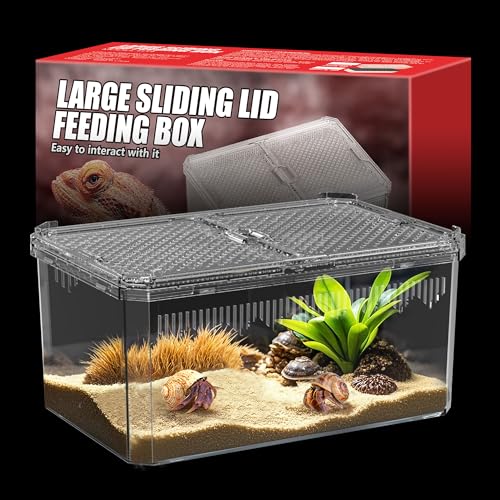 Atmungsaktives und sicheres Reptilienbecken mit hoher Transparenz – ideales Containerhaus für Einsiedlerkrebse, Vogelspinnen-Gehege, Schildkrötenbecken oder springende Spinnen-Lebensraum (L) von NOMOY