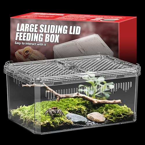 Atmungsaktives und sicheres Reptilienbecken mit hoher Transparenz – ideales Containerhaus für Einsiedlerkrebse, Vogelspinnen-Gehege, Schildkrötenbecken oder springende Spinnen-Lebensraum (M) von NOMOY