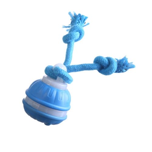 NONGYU Automatisch springendes Haustierspielzeug mit Geräuschmacher, ABS, für drinnen und draußen, für Welpen, Bewegung, Hundespielzeug mit Sound von NONGYU