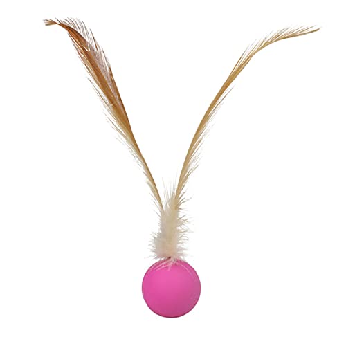 NONGYU Interaktives Hundespielzeug + Gummimaterial, Kätzchen, Backenzahne, Welpen, jagt Hüpfen NONGYU Interaktives Hundespielzeug + Gummimaterial, Kätzchen, Backenzahne, Welpen, jagt Hüpfen von NONGYU