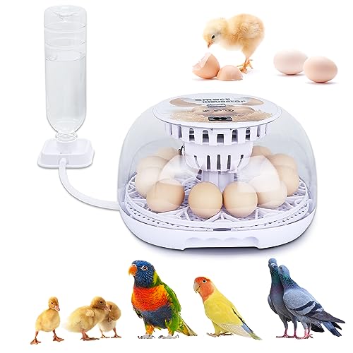 NORJIN Eierbrüter, 12 Eier Inkubator zum Schlüpfen von Eiern, Digitaler Inkubator Hühnerei Inkubator mit automatischer Eierdrehung und Wasserhinzufügen, für Hühner, Vögel, Enten von NORJIN
